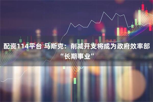配资114平台 马斯克：削减开支将成为政府效率部“长期事业”