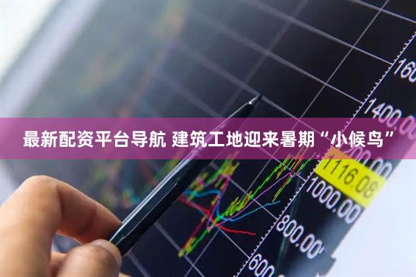 最新配资平台导航 建筑工地迎来暑期“小候鸟”