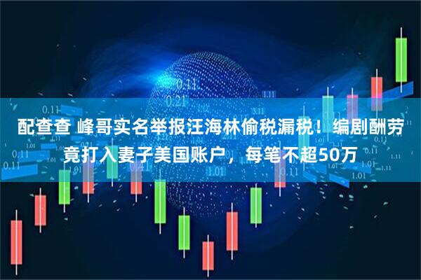 配查查 峰哥实名举报汪海林偷税漏税！编剧酬劳竟打入妻子美国账户，每笔不超50万
